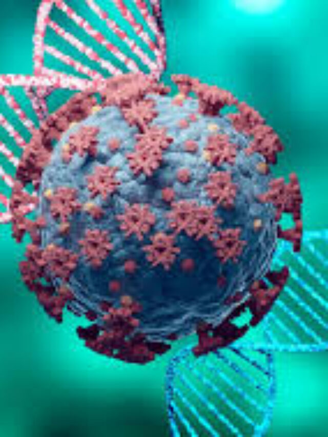 भारत में कोविड-19 के मामले तेजी से बढ़ रहे हैं: 257 सक्रिय मामले, क्या नई लहर आने वाली है? जानें क्या करें और क्या न करें