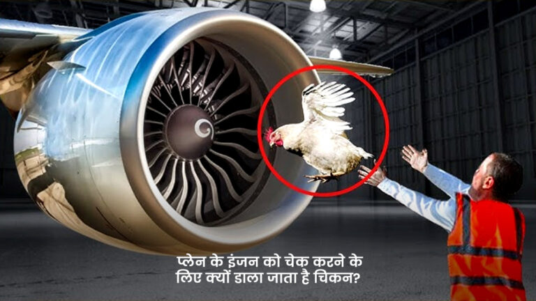 Chicken Gun Test क्या होता हैं,मरा मुर्गा कैसे बनता है रक्षक?